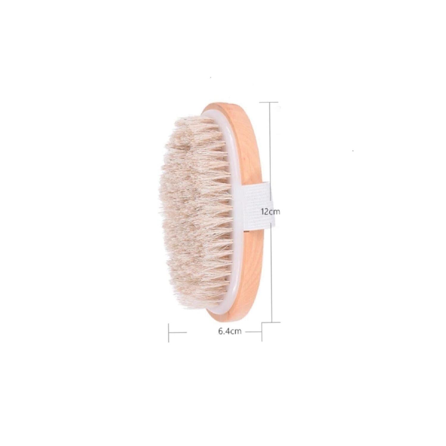 

Natural Horsehair Brush