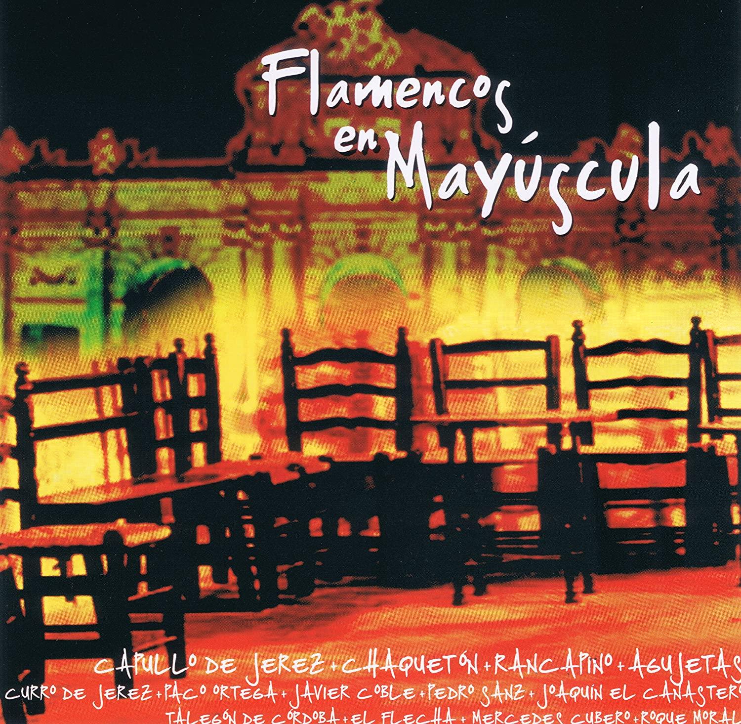 

CD VARIOUS - Flamencos En Mayuscula US World Music Used