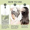 Rosemary Hair Growth Shampoo for Hair Loss, Thinning Hair for Men and Women - Rosemary Mint Strengthening Shampoo with Tea Tree Oil Bition