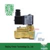 Solenoid Valve 21WA4R0B130 110V DN15 Two-Way Pilot Water Switch