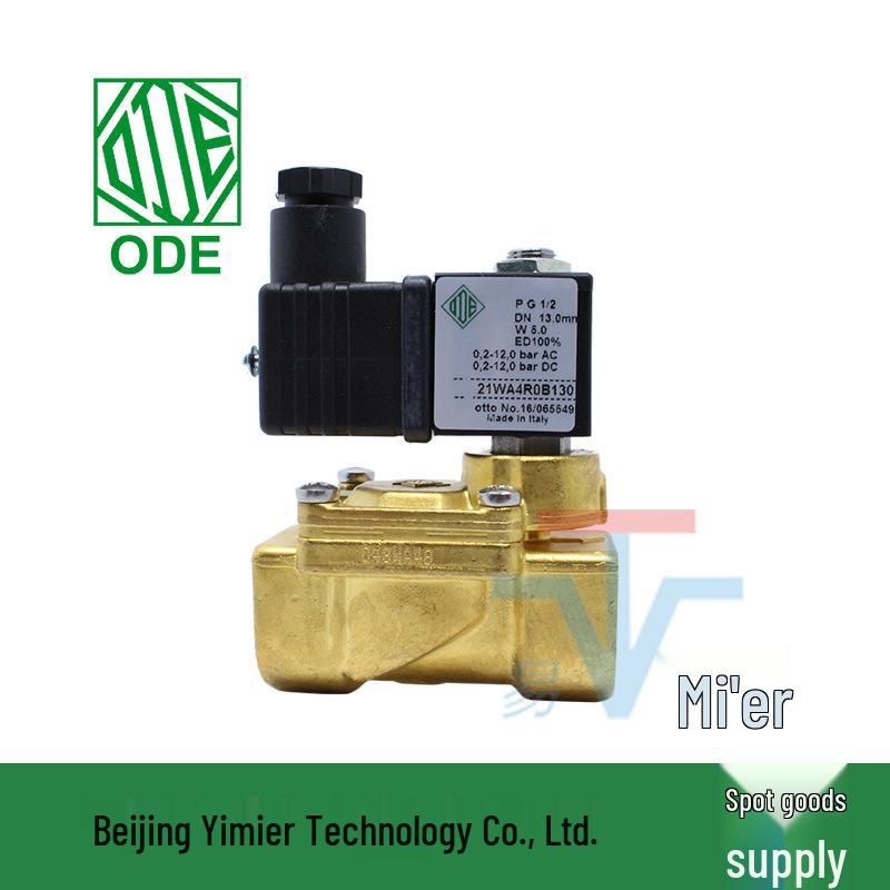Solenoid Valve 21WA4R0B130 110V DN15 Two-Way Pilot Water Switch