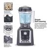 Biolomix T5800 Professional Countertop Blender, 2200W High Power, 2L BPA-Free Jar, 6 Stainless Steel Blades, Stepless Speed & Pulse
