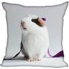 Living Room Pillowcase Guinea Pig   Modern Home
