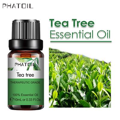Oli Essenziali di Albero del Tè PHATOIL 5ml/10ml/15ml/30ml/100ml per Aromaterapia Diffusori Umidificatori Alleviare lo Stress Oli di Albero del Tè Naturali