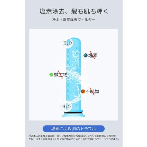 LAFARUN Shower Head Filter Cartridges [Industry-Leading Model for Chlorine Removal] Set of 2 for HS13 Shower Heads