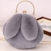 Plush rabbit bag girls oblique cross autumn and winter new chain hand-held hair bag imitation Rex rabbit hair cute clip bag