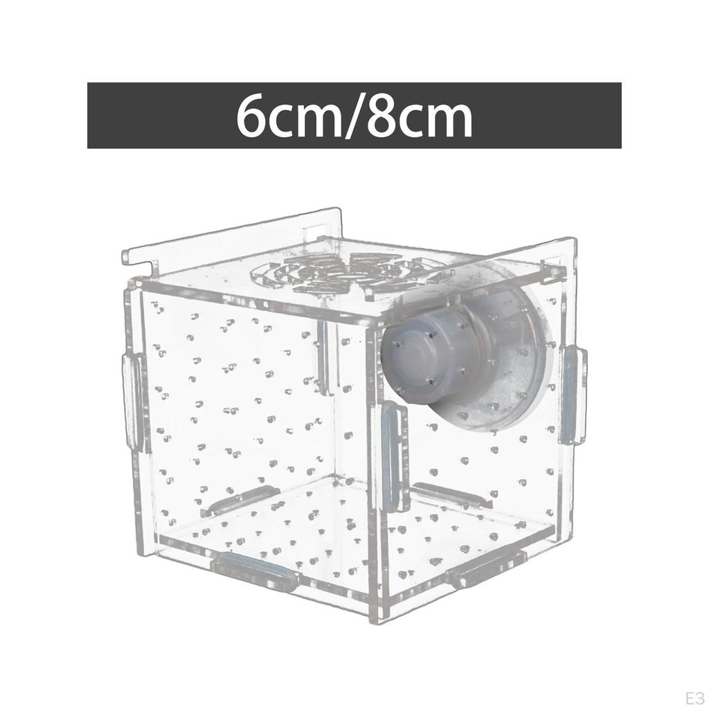 Aquarium Fish Breeder Box Accessory Transparent Isolation Breeding for Guppy