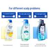 Head & Shoulders Oil Control Anti-Dandruff Shampoo