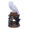 Figure harry potter hedwig casas hogwarts