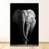Bilder für Wohnzimmer Dekoration Home Decor Tier Leinwand Malerei Wand Kunst Löwe Elefant Pferd Poster und Drucke Wand
