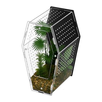 Acrylic Jumping Spiders Habitat With Ventilation Holes Reptiles Enclosure Terrarium For Amphibians