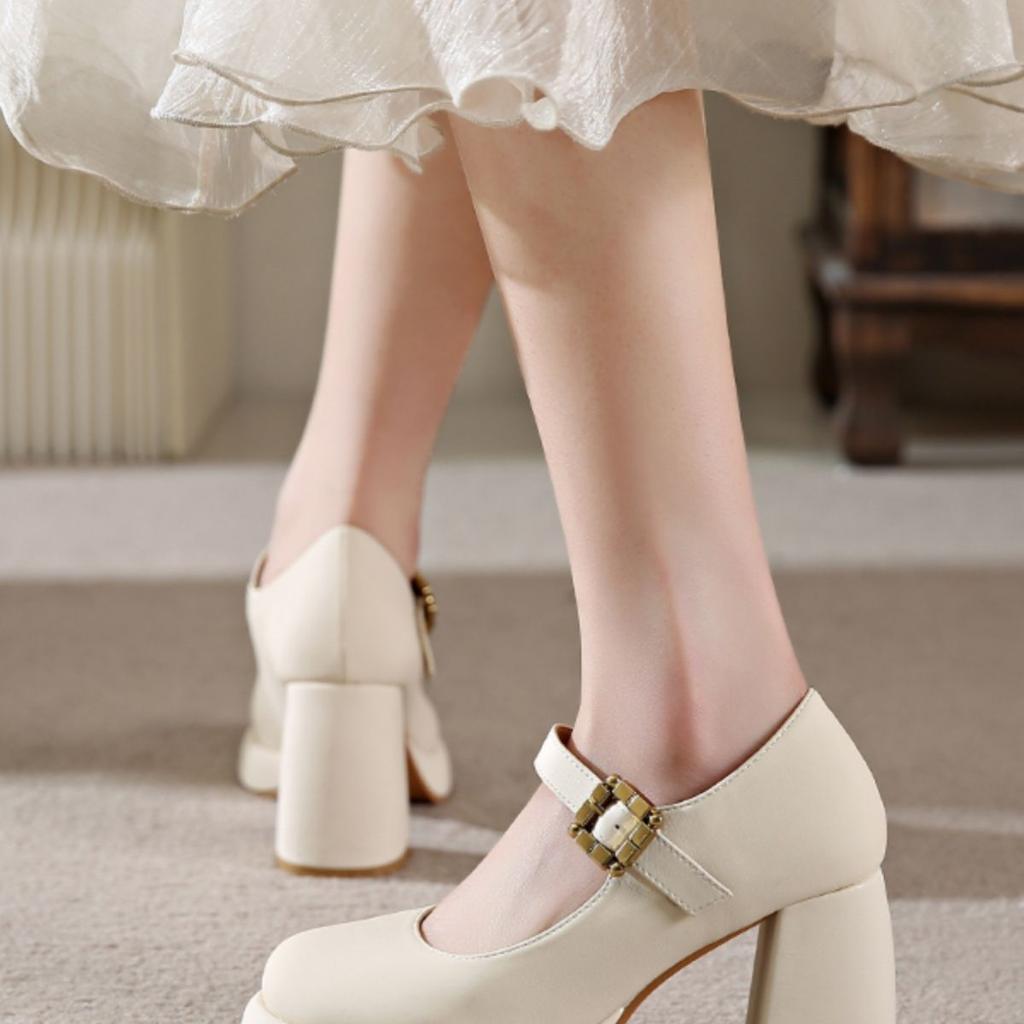 Retro versatile high heels women's 2025 spring new fashion Mary Jane French word with thick heel platform single shoes