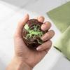 Handmade Mint Dark Chocolate Fidget Squeeze Ball Stress Reliever Sensory Toy for Office Home School
