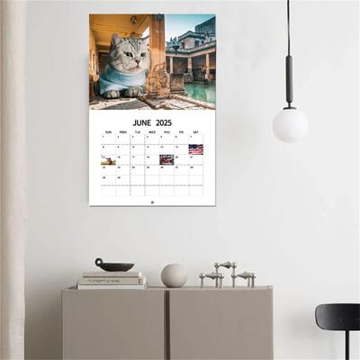 Desk Calendar 2025,12 Monthly Wall Calendar Assorted Patterns, Easy To Hang