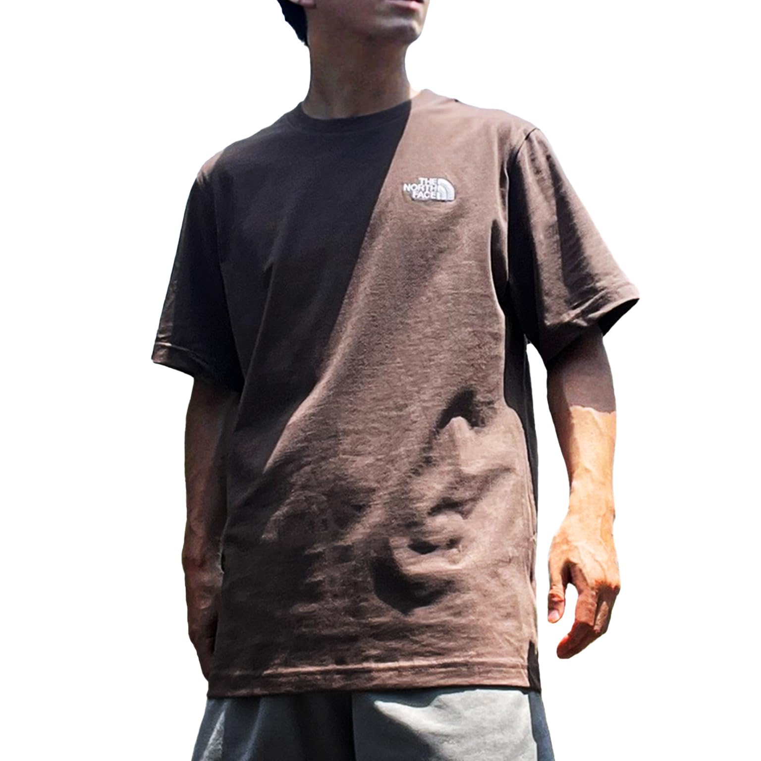 

The North Face Evolution Smorky Short Embroidered Simple Size L Men s Tee, Brown, Sleeve, Logo, Brown, [Used]