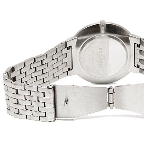 Skagen SKW6200 Silver Watch [Parallel Import]