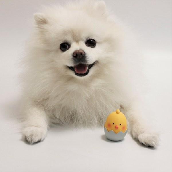 Kosuni Toys Dog Chick Latex Squeak Toy 4 X 6 Cm, Yellow, 1 Piece