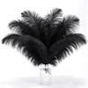 10pcs Ostrich Feathers, 11-13.8 inch(30-35cm) Natural Bulk White Feathers for Crafting Vase Wedding Party Home Christmas Day Decoration