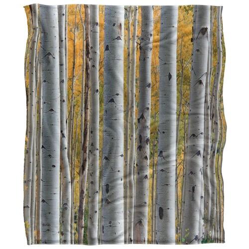 JQ Licensing James Piazza Silky Birch Trees Supersoft Blanket