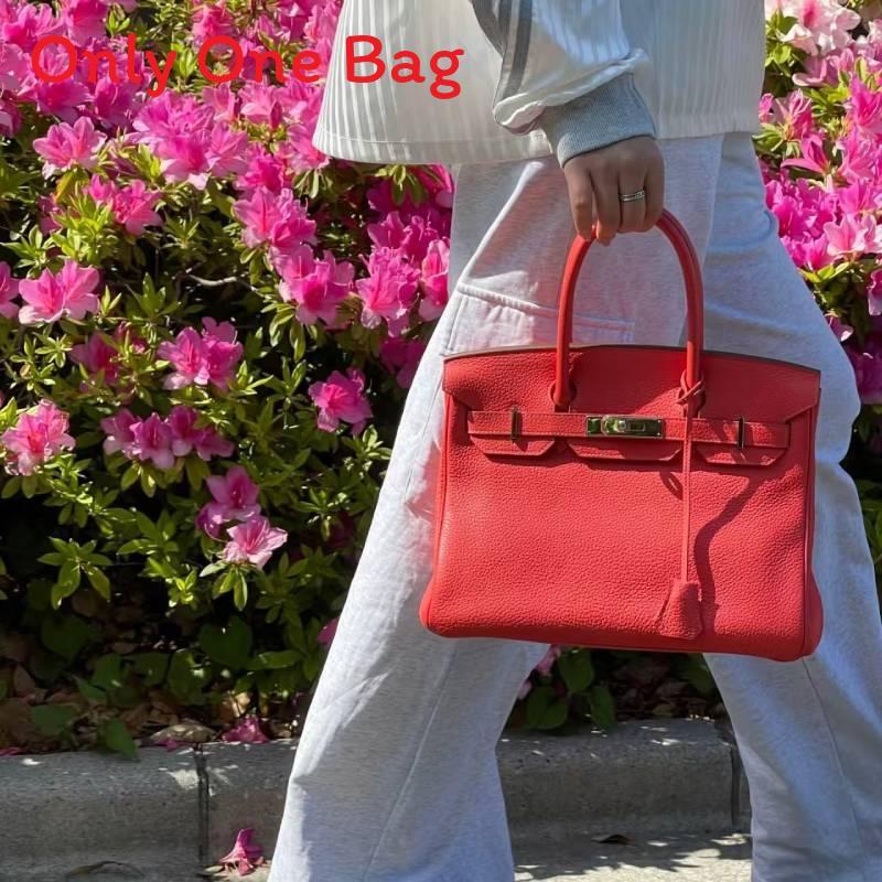 Leather Handbag With Silver Lock For Elegant Women Day Use