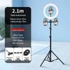Tragbarer Multifunktionaler Selfie-Stick & Bodenstativ mit Fülllicht für Mobile Live-Streams