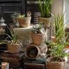 Rattan Stroh Geflochtener Pflanzkorb S/M/L Blumentopf Behälter für Garten Terrasse Balkon Haus Dekorative Möbel
