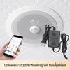 Kankeirr Smart Induction Ceiling Speaker