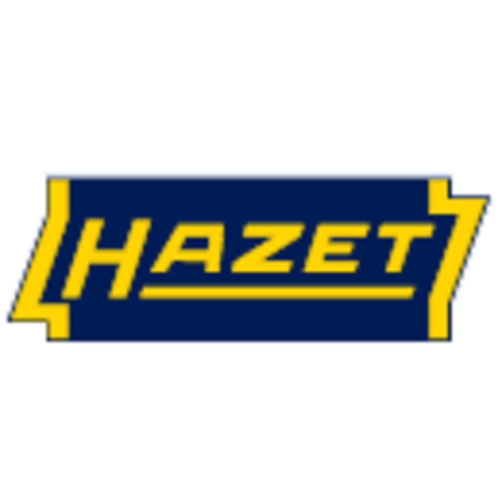 HAZET Rubber 520g Imported from Hammer, (Officially Japan), 2143-1