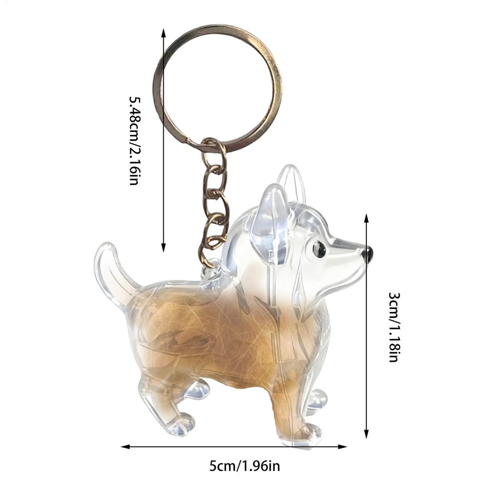 1pcs Dog Hair Key Chain Pet Hair Keychain Keepsake Storage Container Pendant Box For Wallet Purse Girls Men Women Boys