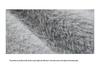 Trendy Unisex Cute Cat Pattern Soft Fluffy Knit Sweater - Warm Round Neck Long Sleeve for Couples