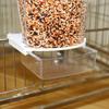Bird Feeder Large Capacity Automatic Bird Food Feeder Transparent Parrot Hanging Food Container for Cage