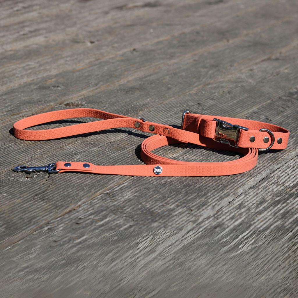 Hexa City Dog Leash, Width , S, / Peach