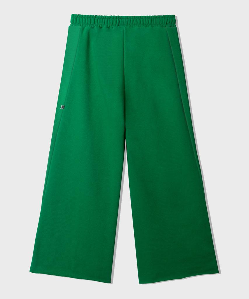 Yankoaleupeu Diploma Embroidered Wide Double-Pleat Sweatpants - Green