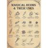 DZQUY Magical Herbs And Their Uses Witchy Poster Kitchen Witch Wall Art Vintage Kitchen Witchery Witches Magic Knowledge Poster Tin Signs For Man