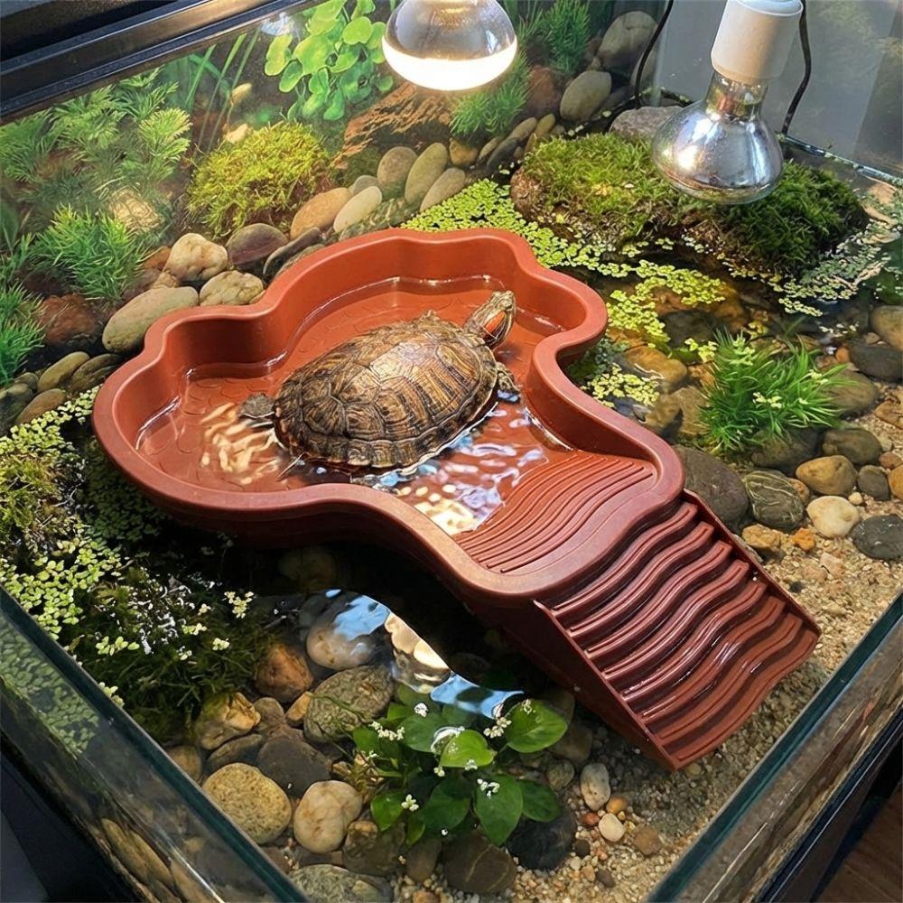 Anti-Slip Base Turtle Soaking Tub with Ramp Turtle Water Pool Reptiles Water Dish  for Small Pet
