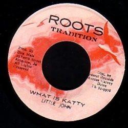 

7inch Record LITTLE JOHN What Is Katty NONE Roots Tradition 1979 Jamaica Reggae Ska Dub Used
