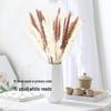 Nordic Style Dried Flower Bouquet: Mixed Arrangement with Small Reeds, Bunny Tail Grass, and Duster for Home Decoration.