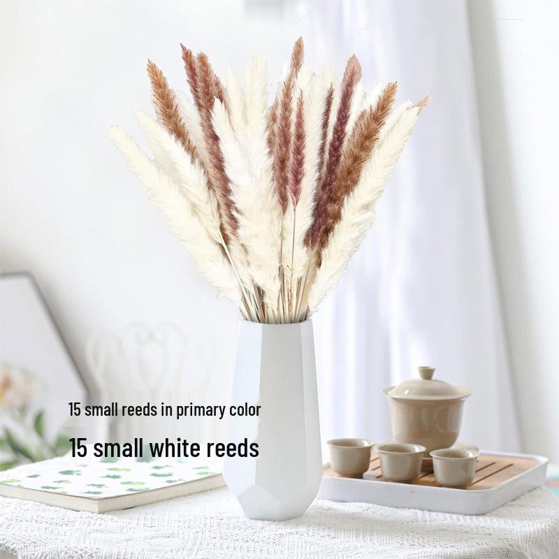 Nordic Style Dried Flower Bouquet: Mixed Arrangement with Small Reeds, Bunny Tail Grass, and Duster for Home Decoration.