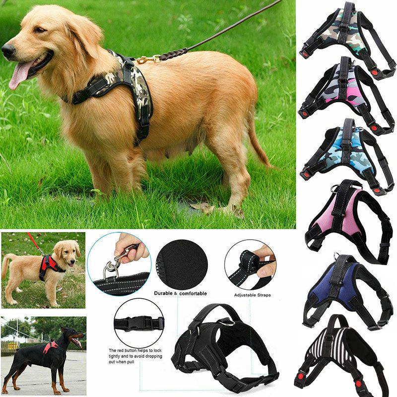 Premium No Pull Adjustable Harness Leash Dog Vest With Durable Lightweight Design For All Breeds