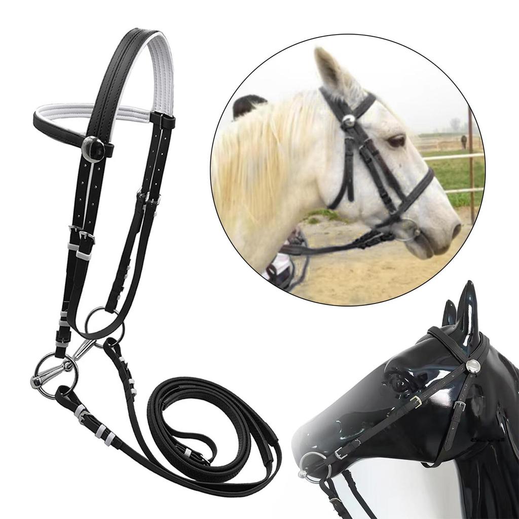 Horse Bridle with Rein Halter Versatile Stainless Steel Bit Headstall Riding Rope for Club
