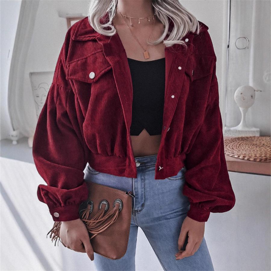 Ins Style Autumn Velvet Long Sleeve Cardigan Jacket for Women