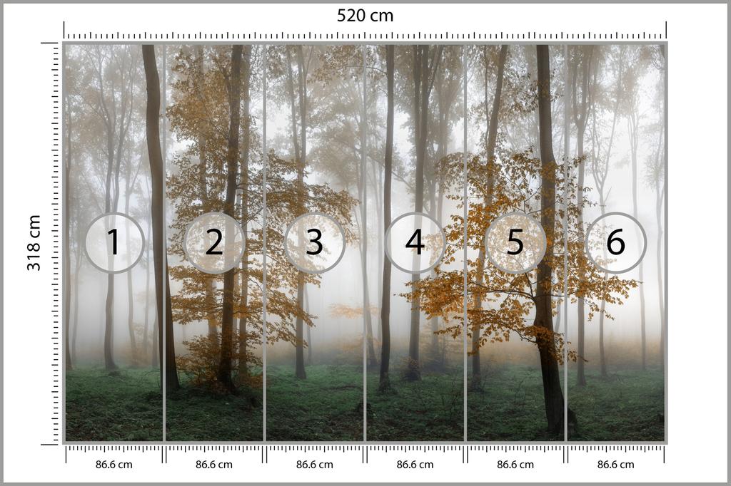 Photomural Forest In Fog Structural Vinyl 520x318