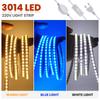 AC 220V LED Strip Light 120 LEDs/M IP65 Waterproof Flexible Ribbon Warm Natural White Blue Home Decor With On Off Switch