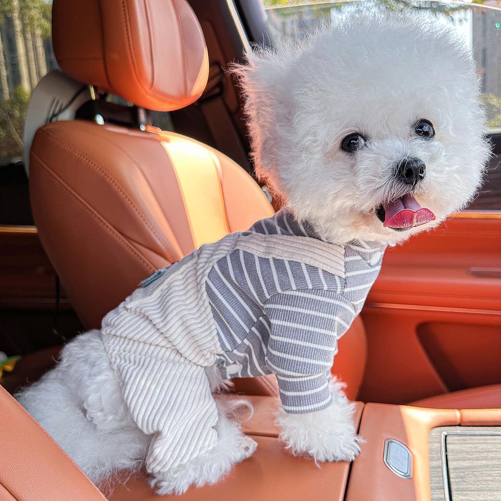 Cute Teddy Bichon Winter Dog Jumpsuit Anti-Dirty Overalls for Small Male Dogs Puppy Cat Pet Clothes Warm Costume Suit