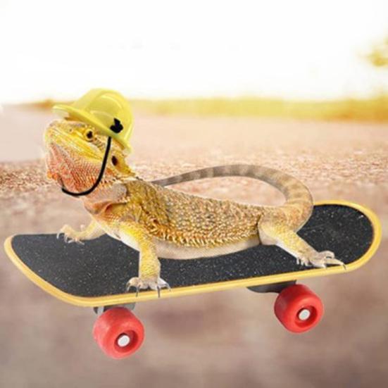 1 Set Lizard Helmet Sturdy Easy to Put on And Take Off Elastic