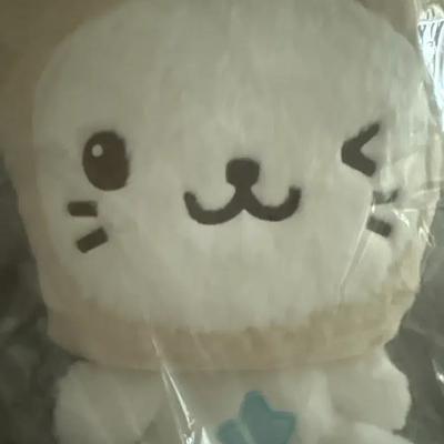 30cm Bubble Cat Moocy Bubble Nyan Kuri Wish Doll Doll