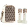 Dianyin SongBird-HQ K-Singing Speaker with Dual Microphones