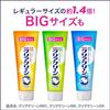 Clear Clean Toothpaste Natural Mint 170g3 Pieces + Tooth Powder Included Quasi-drug