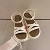 Fashion Roman Sandals Women 2024 Summer New High Heels Platform Clip-toe Sandal for Ladies Non-slip Open-toed Beach Shoes