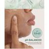 BEPLAIN Cicaful Calming Mask